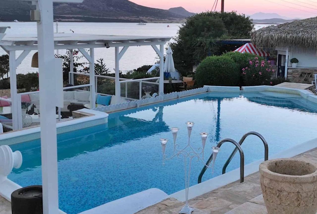 Blue Dolphin Antiparos Villas And Suites Agios Georgios  Exteriér fotografie