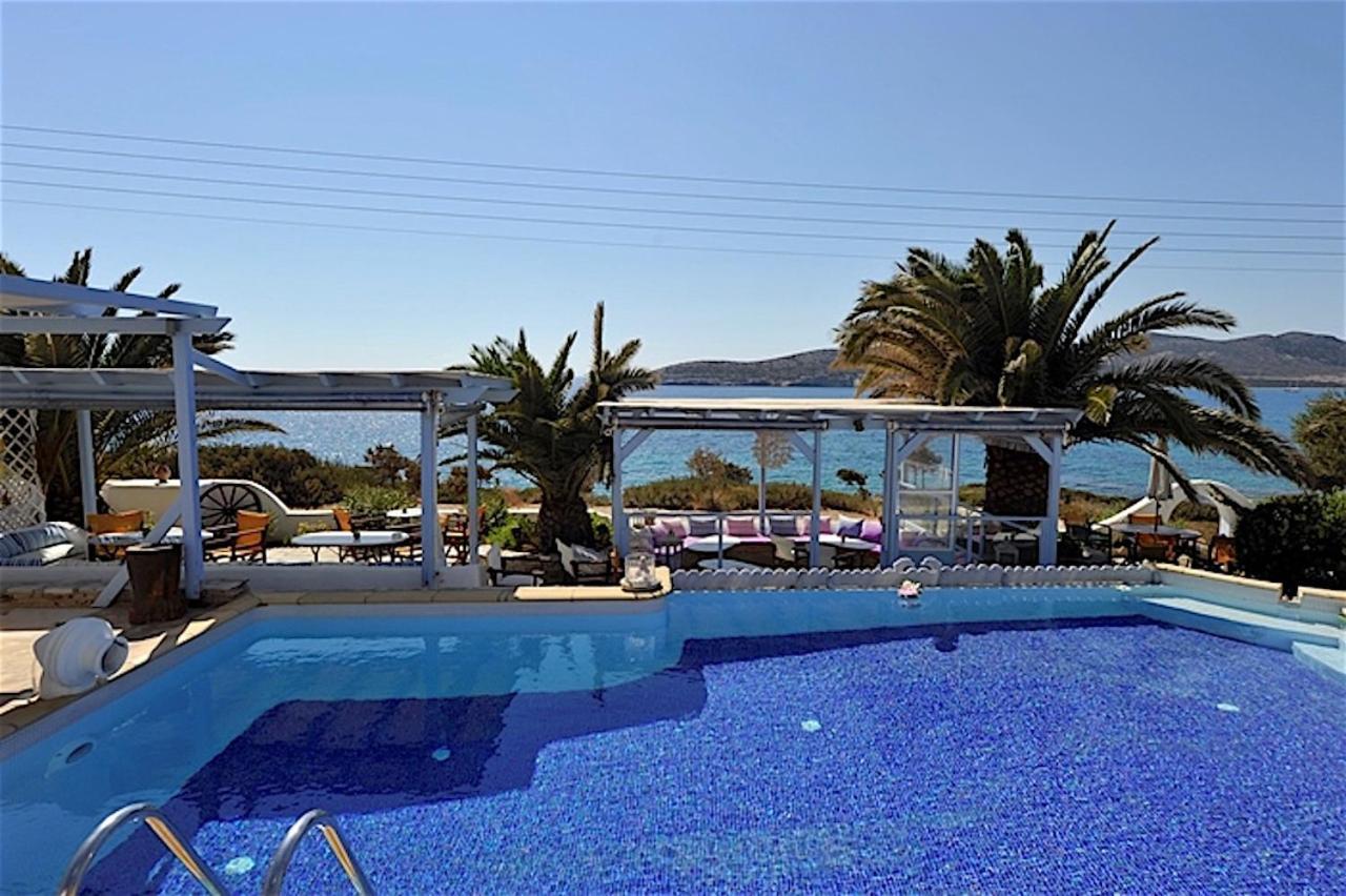 Blue Dolphin Antiparos Villas And Suites Agios Georgios  Exteriér fotografie